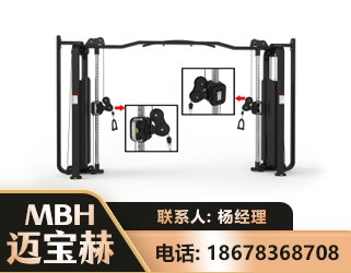 吐鲁番大飞鸟训练器