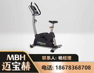 吐鲁番立式健身车